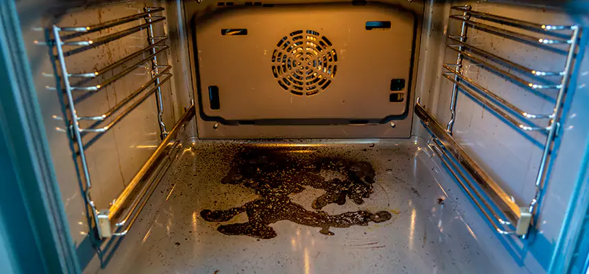 Our Dryer Vent Mold Cleaning Services in Rockford, IL