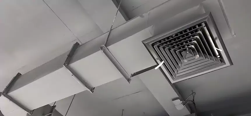 Our Pest Removal From Ducts Services in Rockford, IL