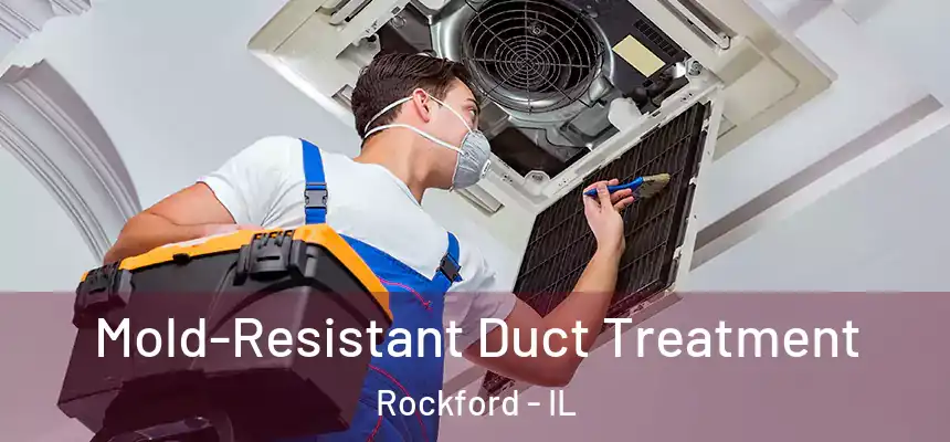  Mold-Resistant Duct Treatment Rockford - IL