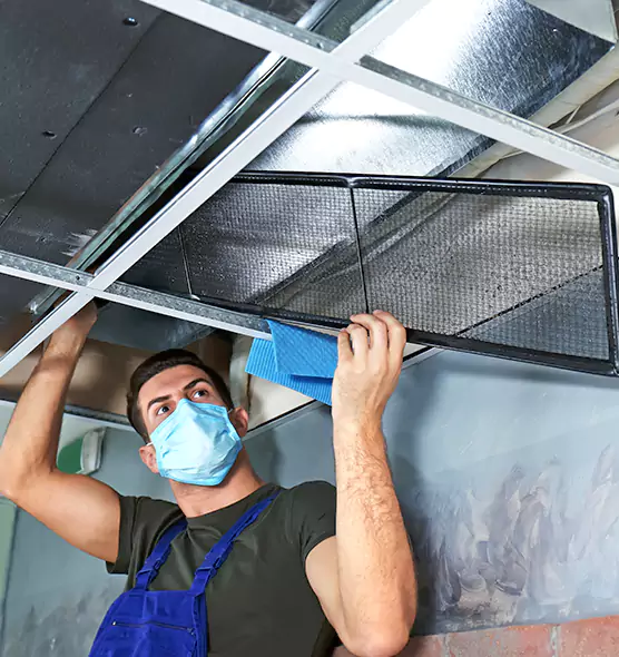 Professional Air Duct Pollen Cleaning in Rockford, IL