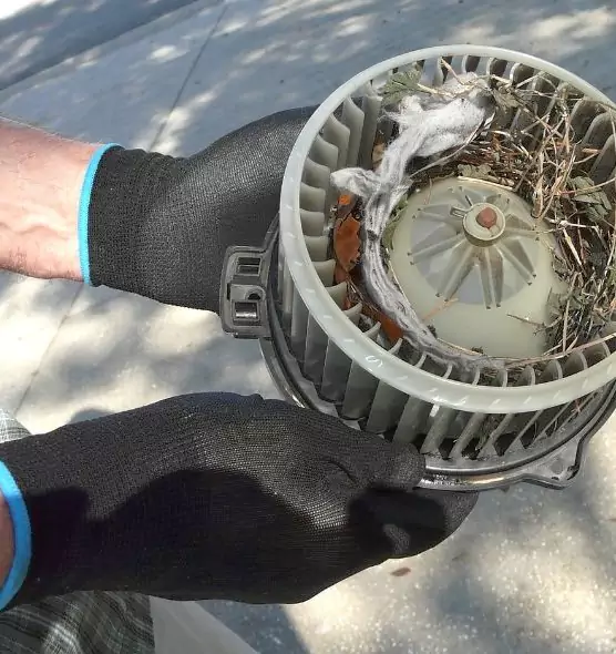 About Air Duct Rat Removal in Rockford, IL