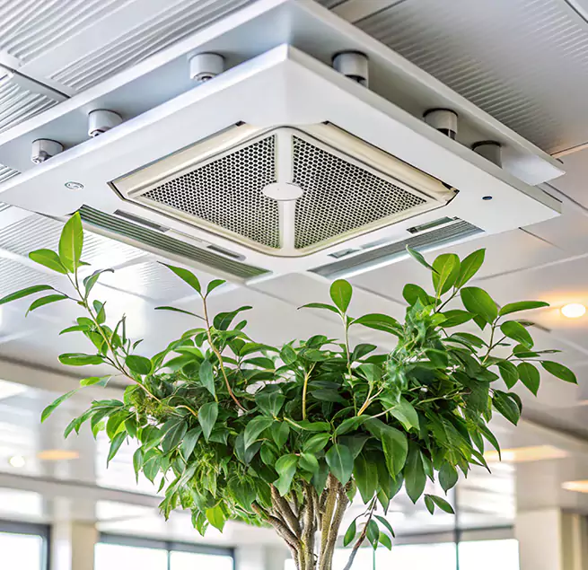 Why Homeowners & Businesses Trust Us in Rockford, IL